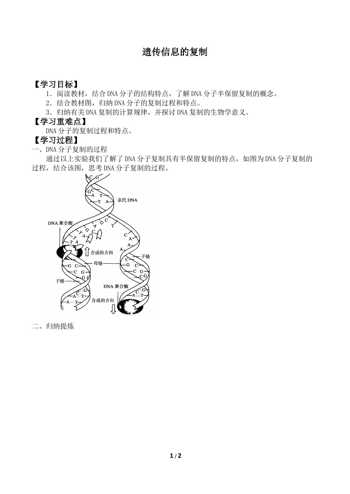 遗传信息的复制_学案2