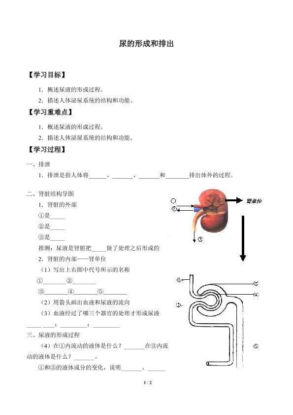 尿的形成与排出_学案1