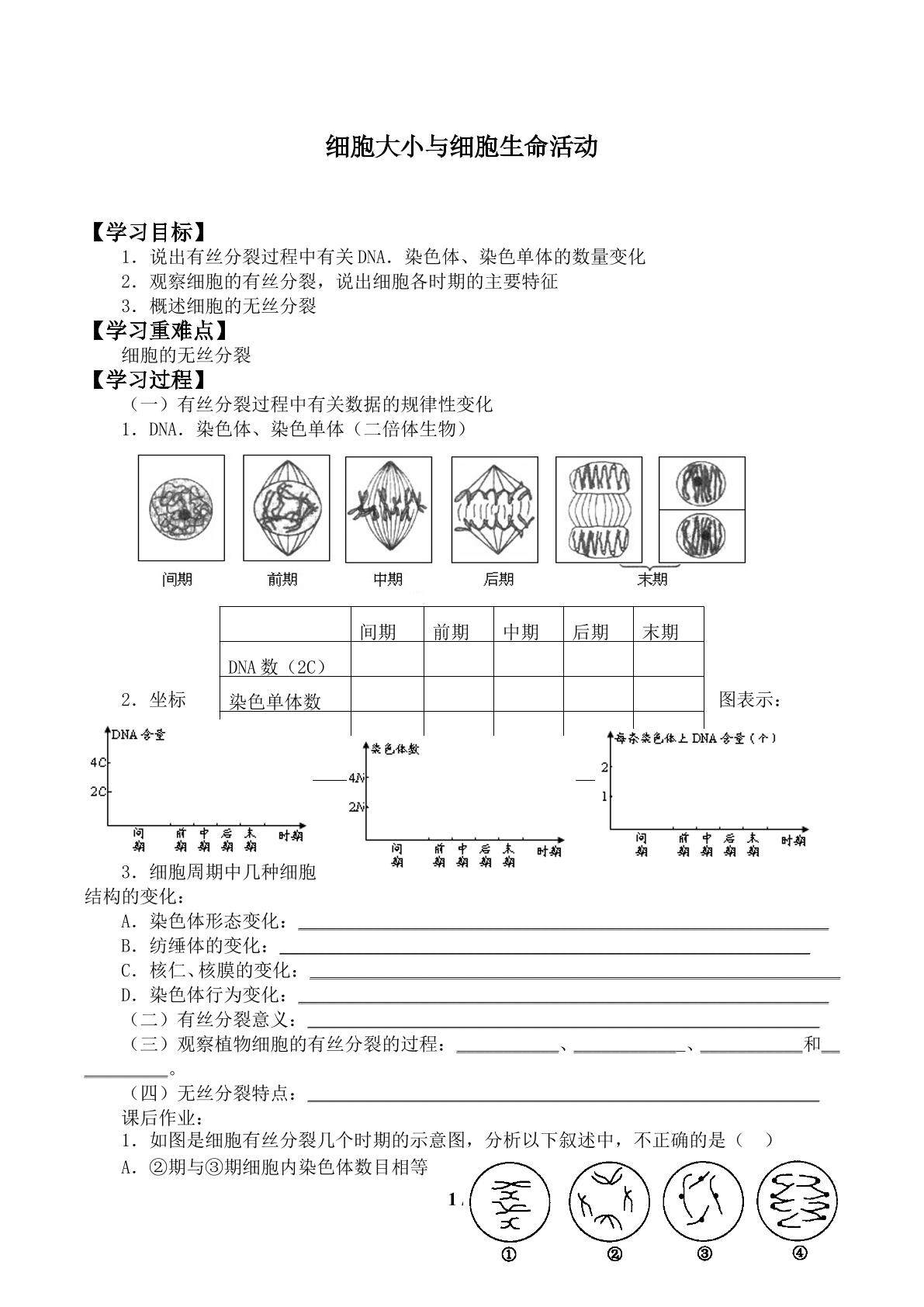 无丝分裂_学案1
