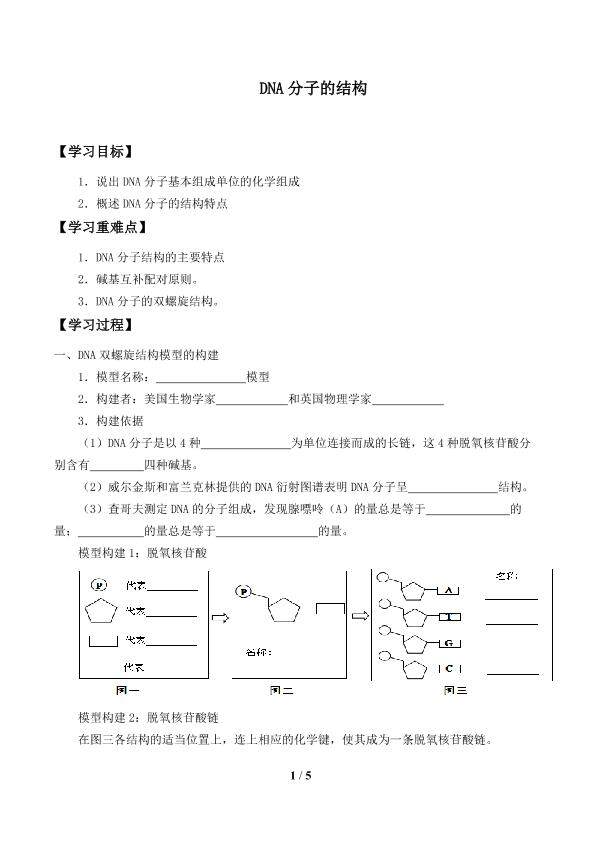 DNA分子的结构_学案1