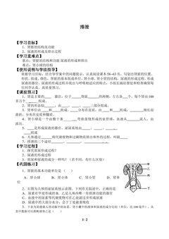 肾脏_学案1