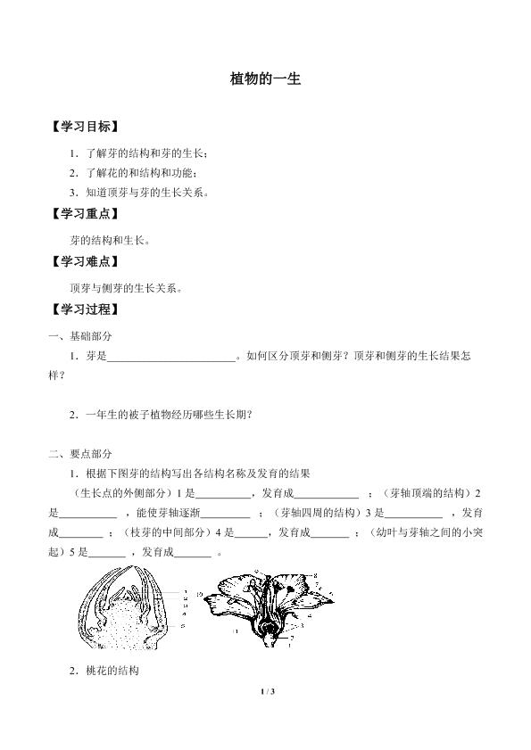 植物的一生_学案3