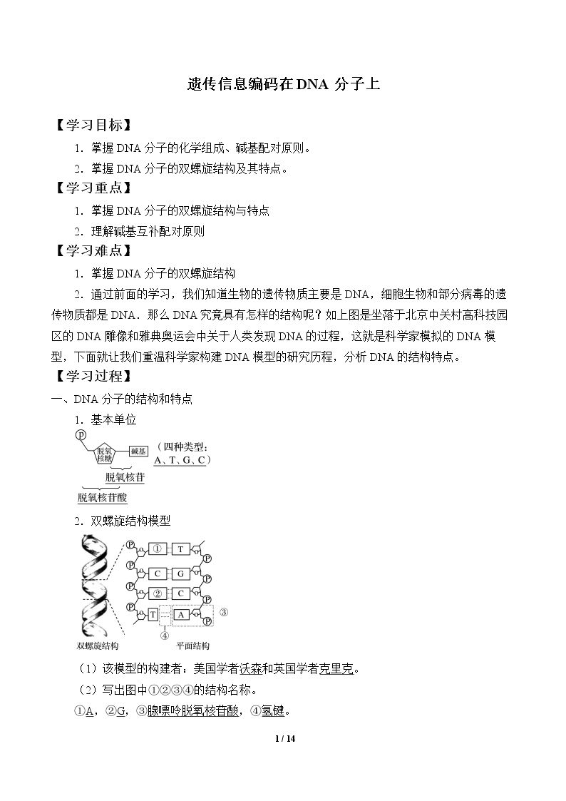 遗传信息编码在DNA分子上