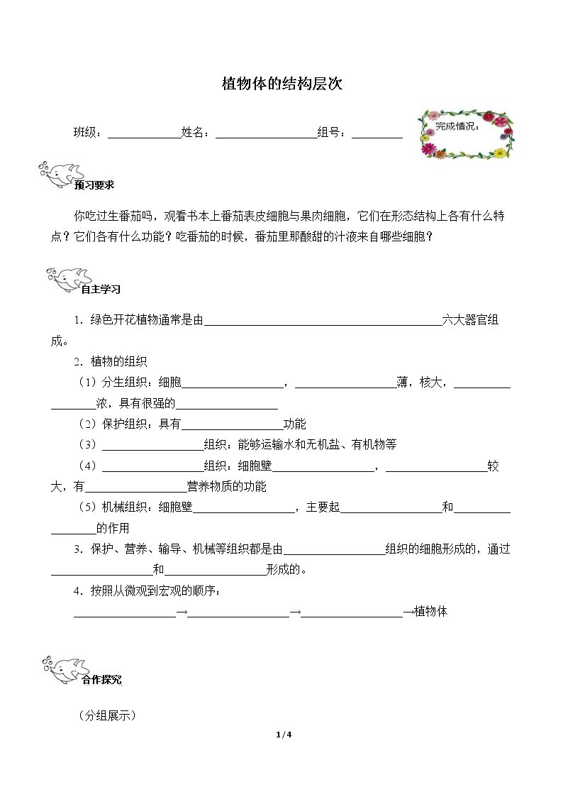 植物体的结构层次（含答案） 精品资源_学案1