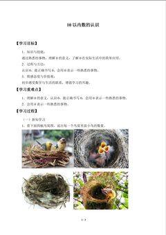 学案 10以内数的认识