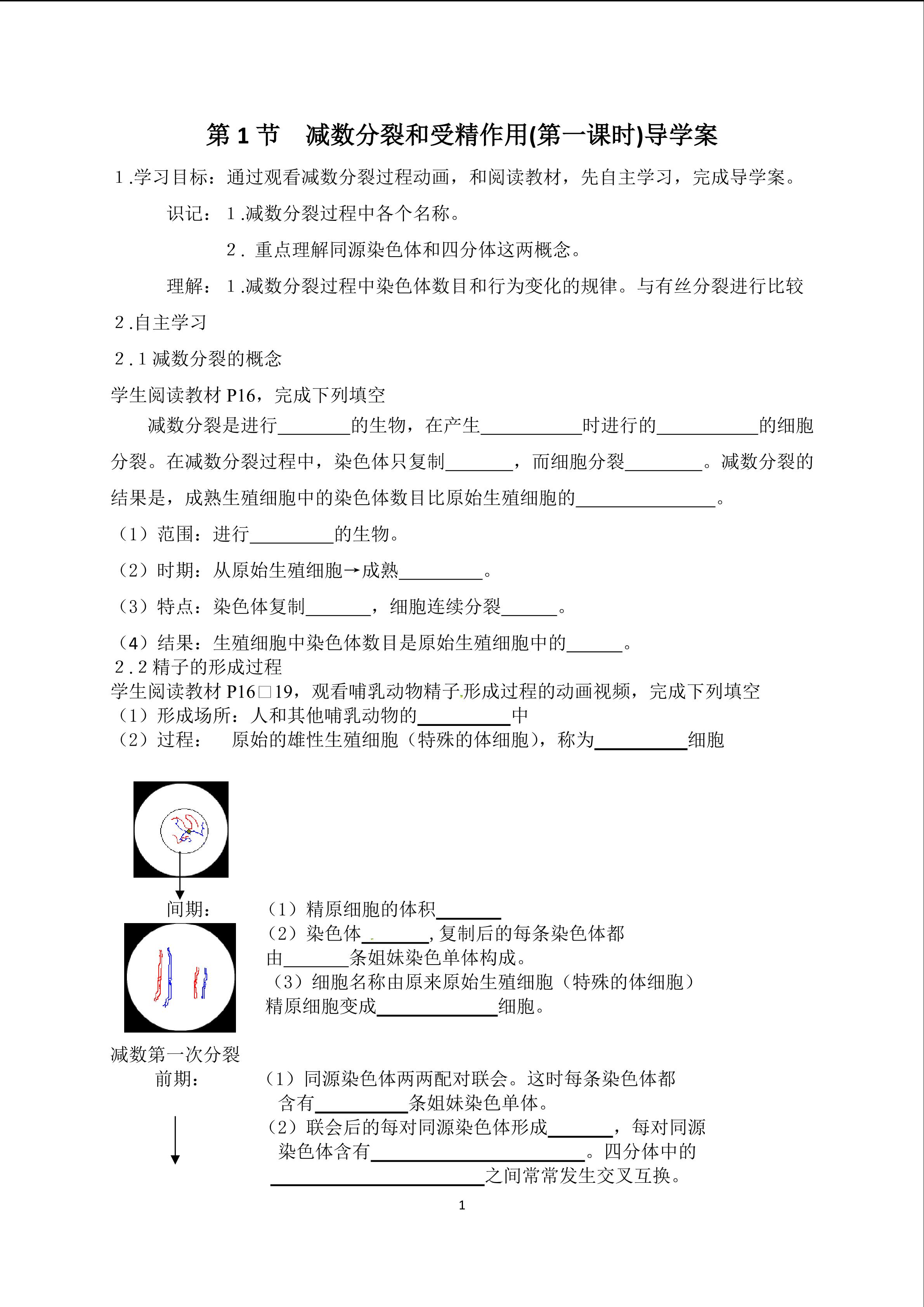 减数分裂导学案（正）