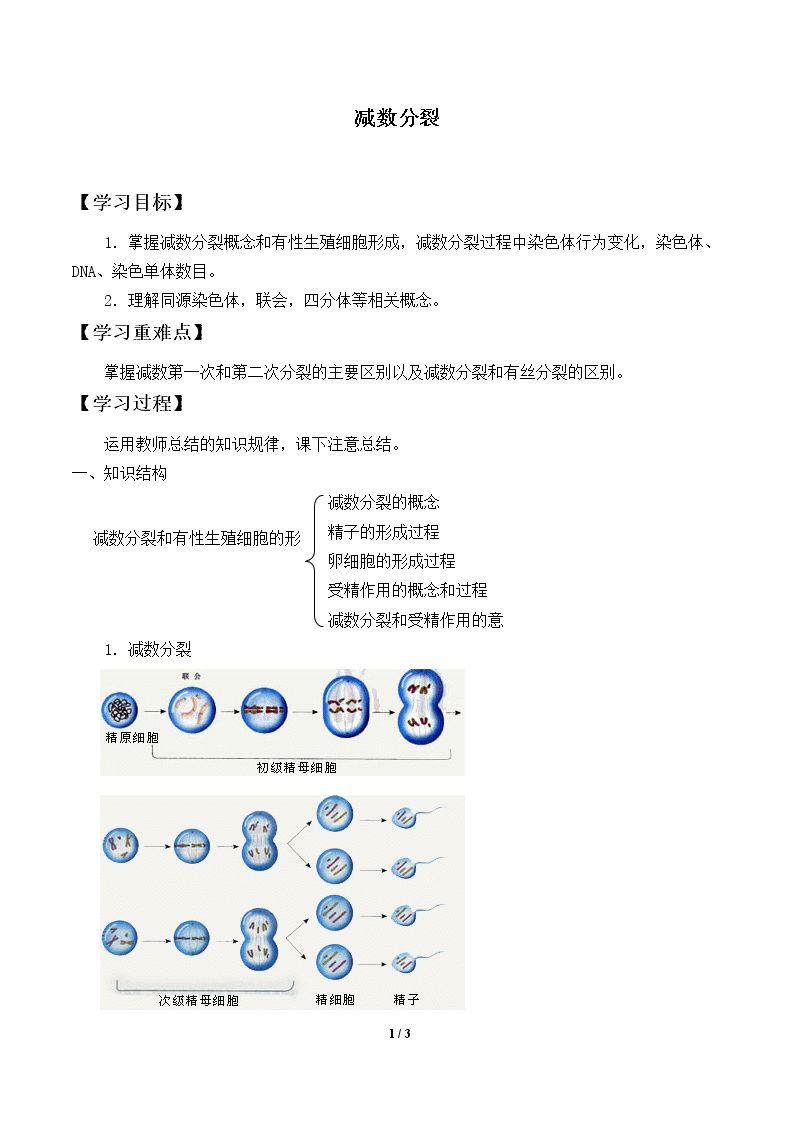 减数分裂_学案2