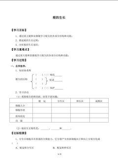 根的生长_学案1