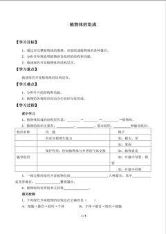 植物体的组成_学案1