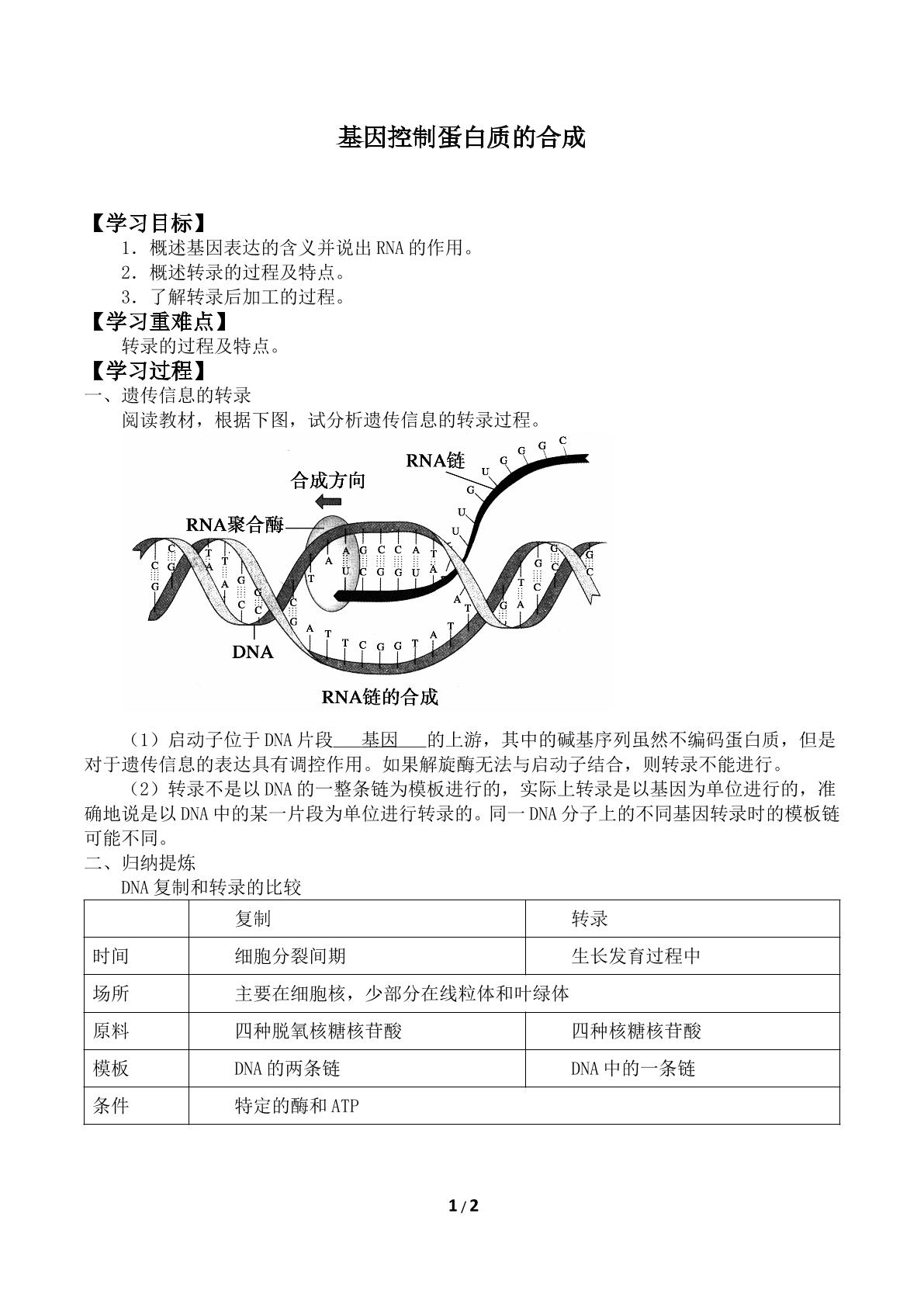 基因控制蛋白质的合成_学案2