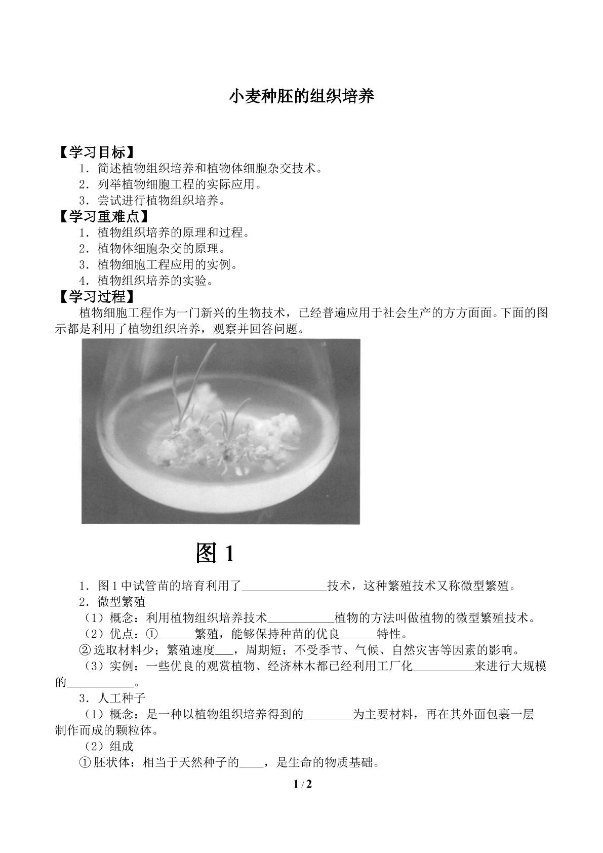 小麦种胚的组织培养_学案1