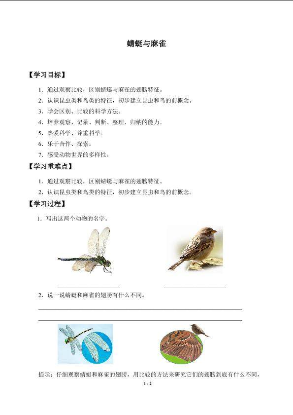 蜻蜓与麻雀_学案1