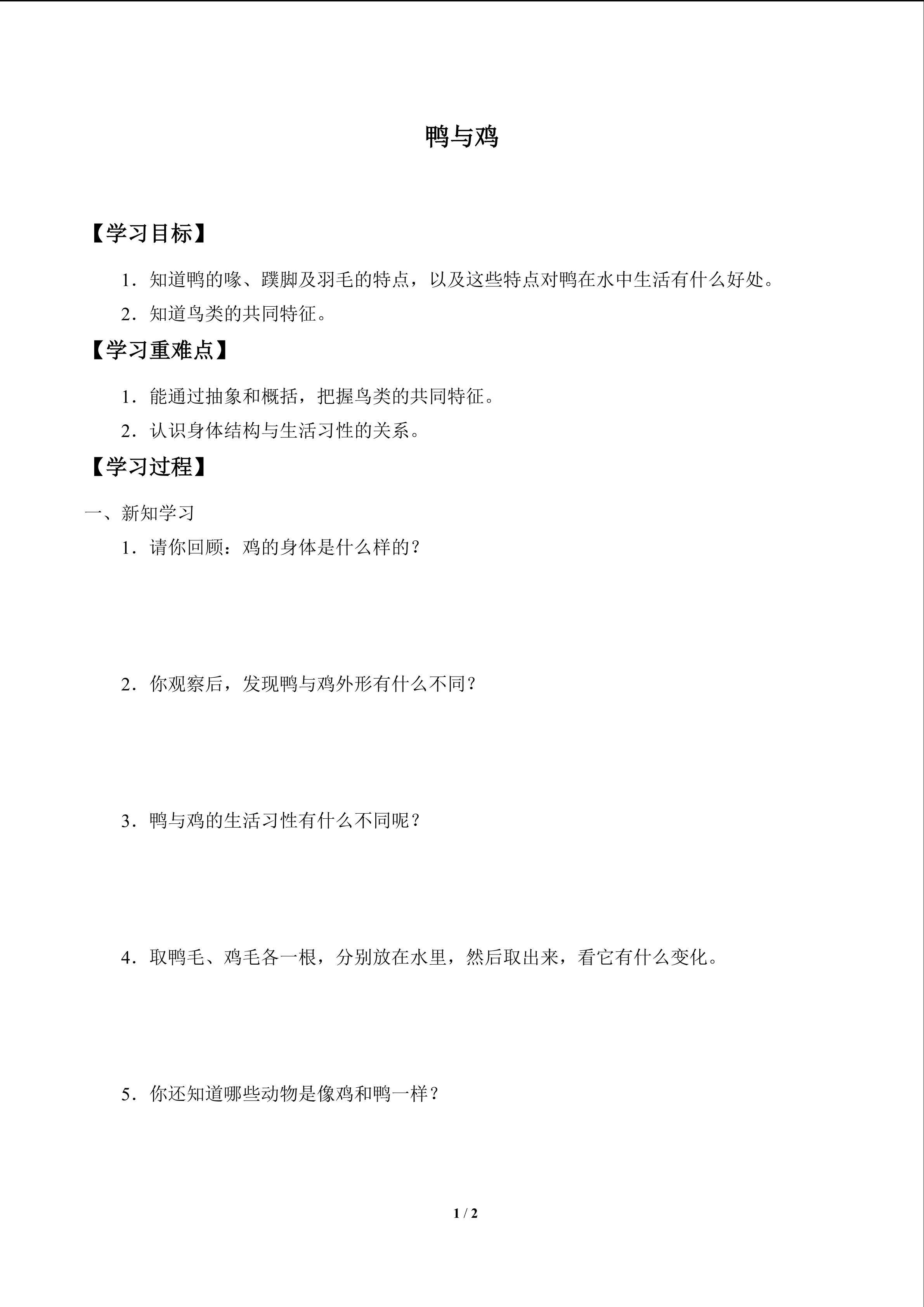 鸭与鸡_学案1