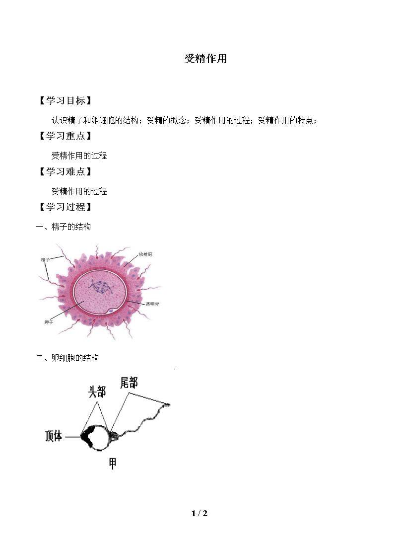 受精作用_学案1