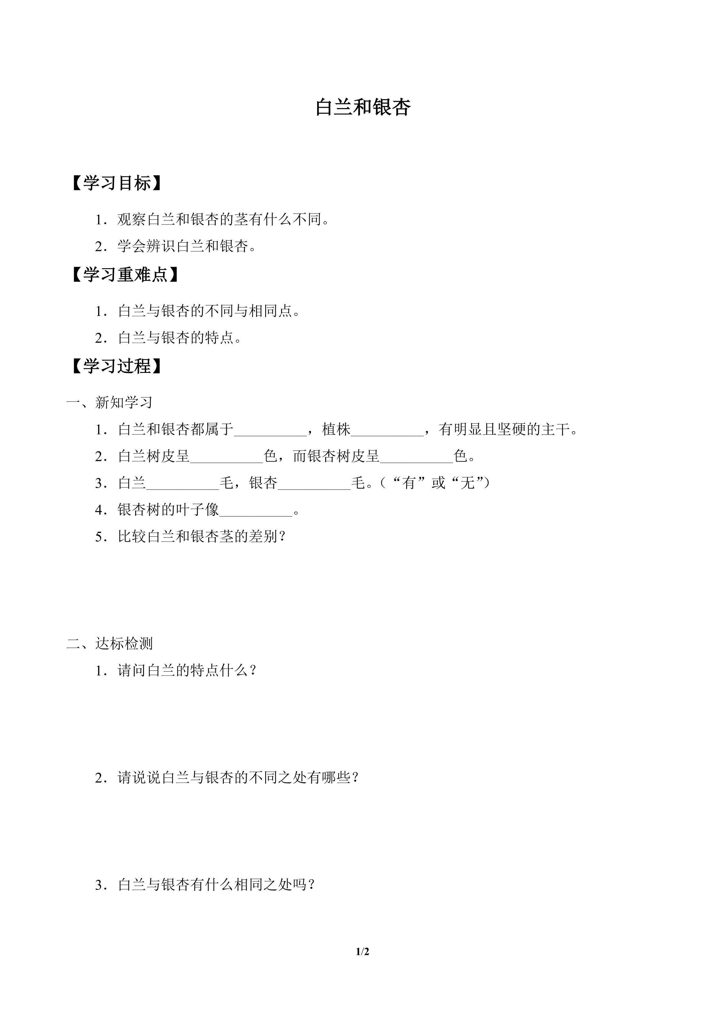 学案-白兰和银杏