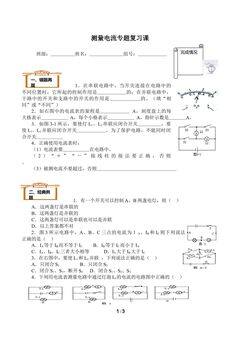科学探究:串联和并联电路的电流(含答案) 精品资源_学案3
