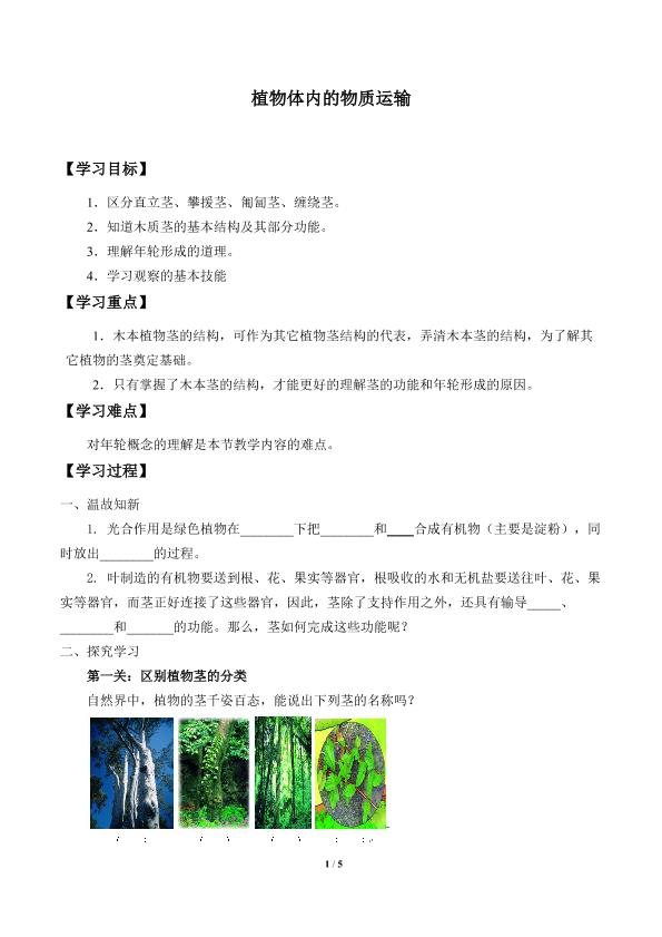 植物体内的物质运输_学案1