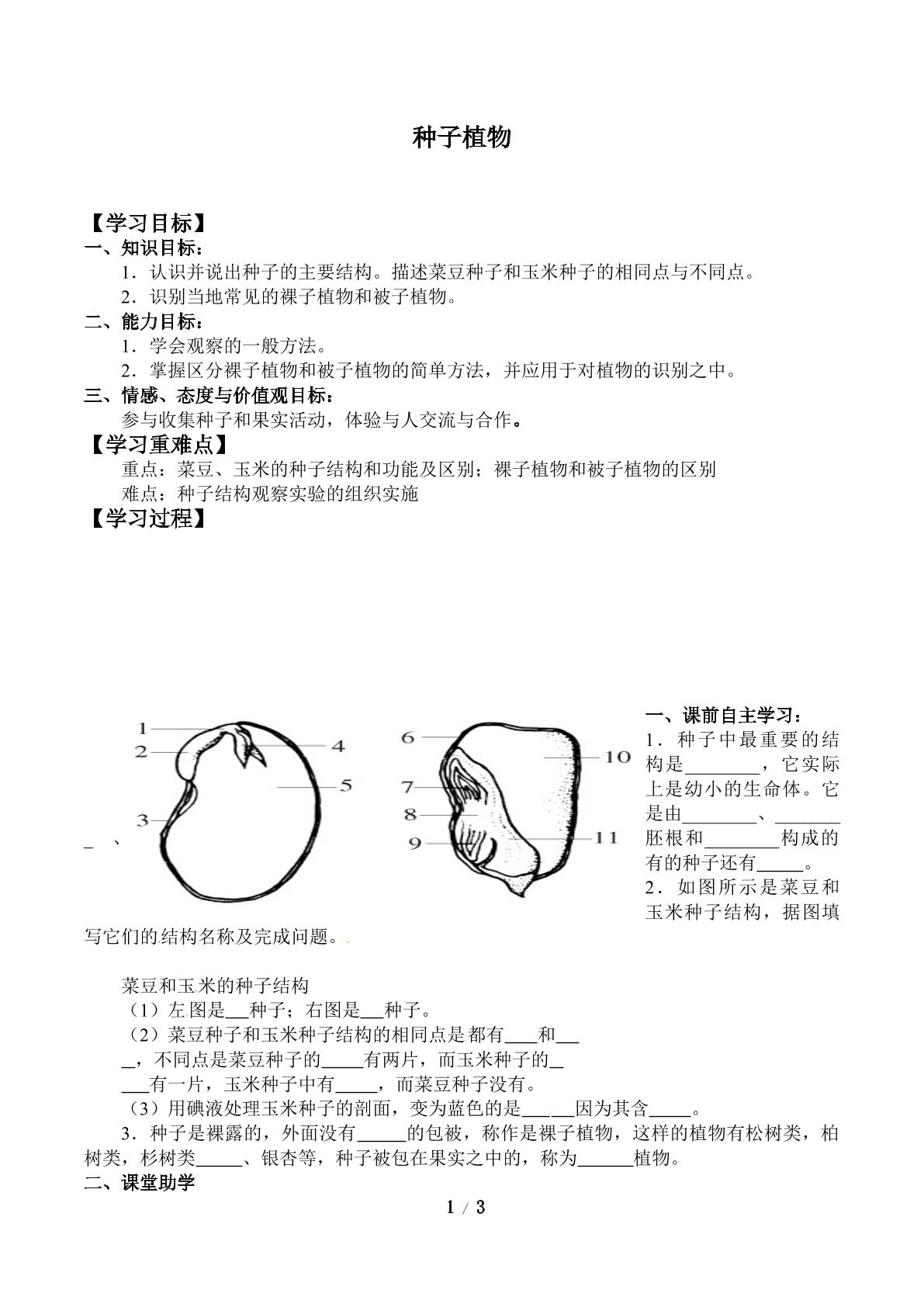 裸子植物_学案1