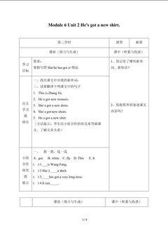 Unit 2 He's got a new shirt._学案1.doc