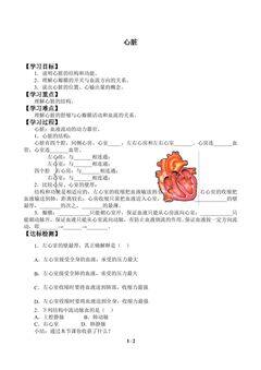 心脏_学案1