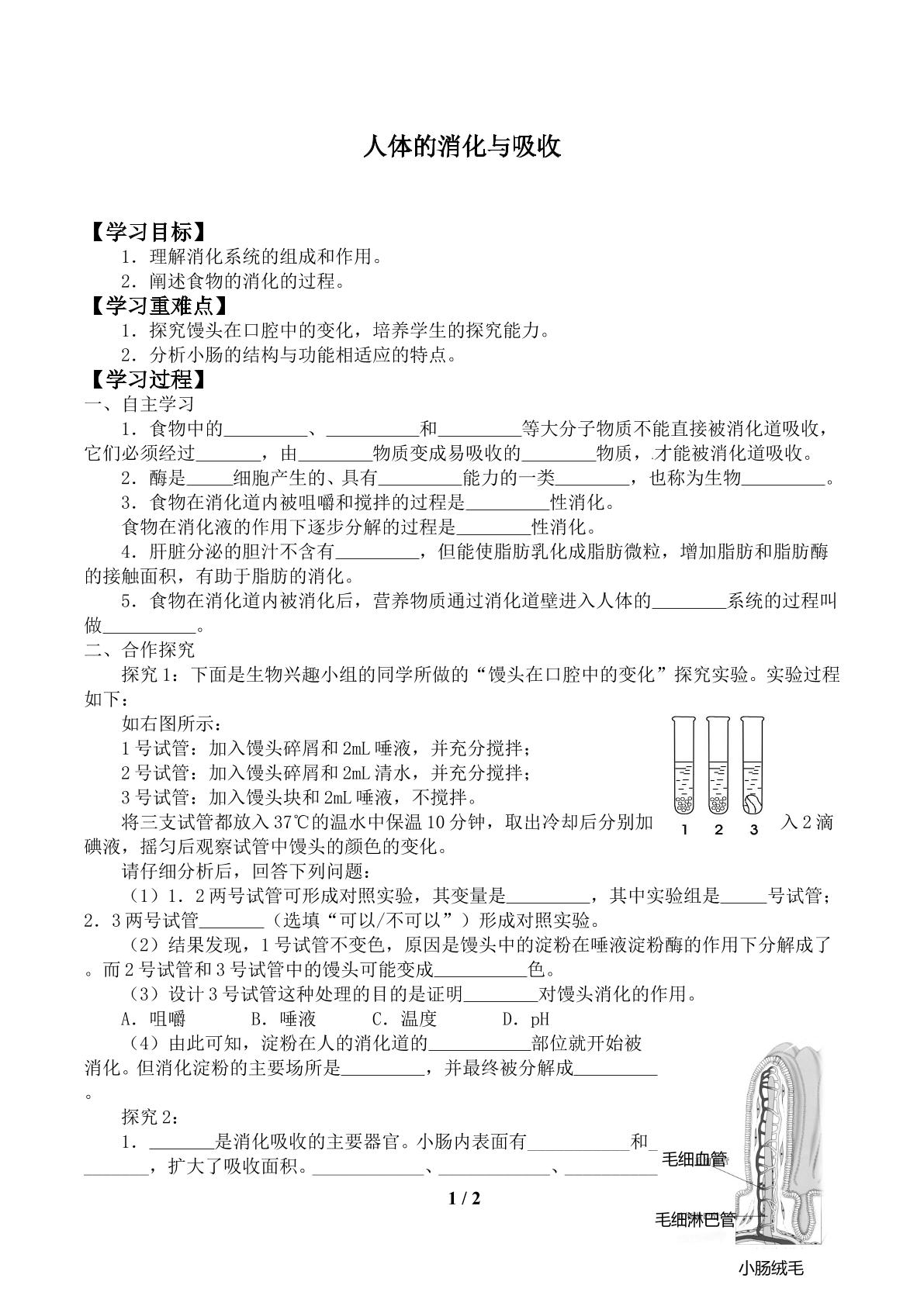 人体的消化与吸收_学案2