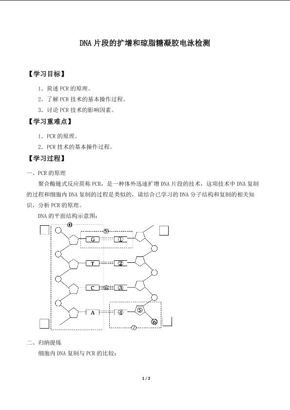 DNA片段的扩增和琼脂糖凝胶电泳检测_学案1