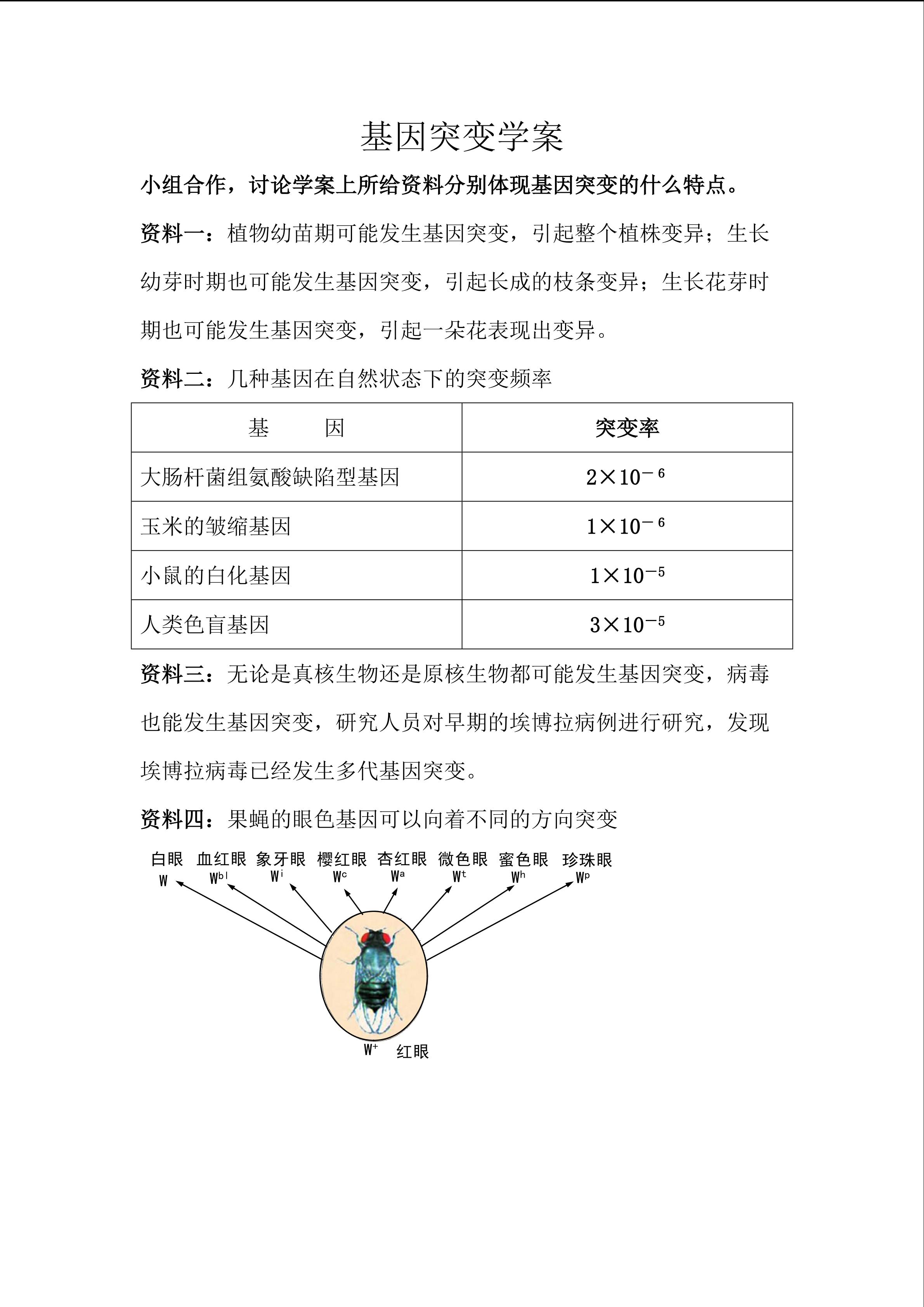 基因突变特点学案