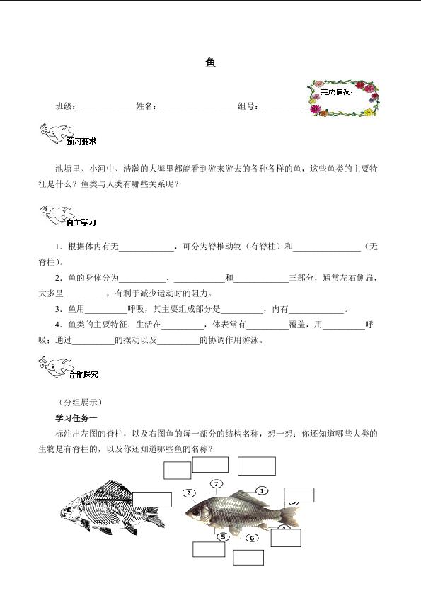 鱼（含答案） 精品资源_学案1