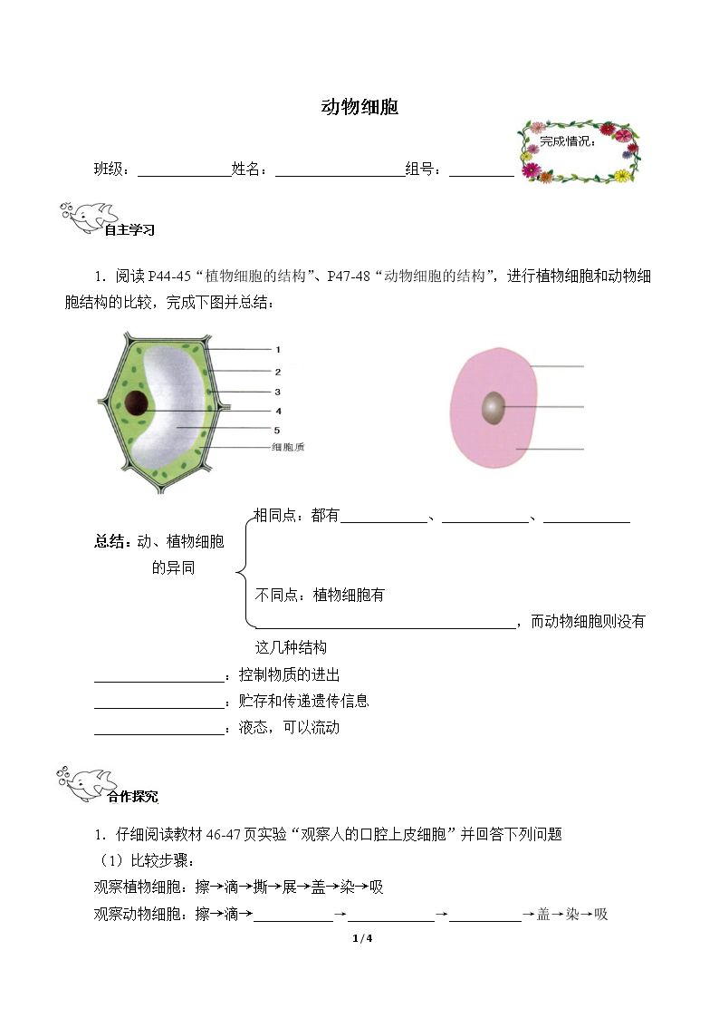 动物细胞（含答案） 精品资源_学案1