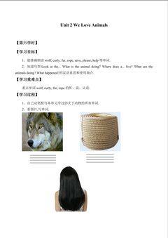Unit 2 We Love Animals_学案6