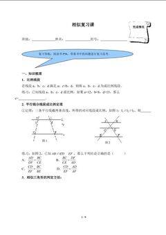 相似复习课(含答案) 精品资源_学案1