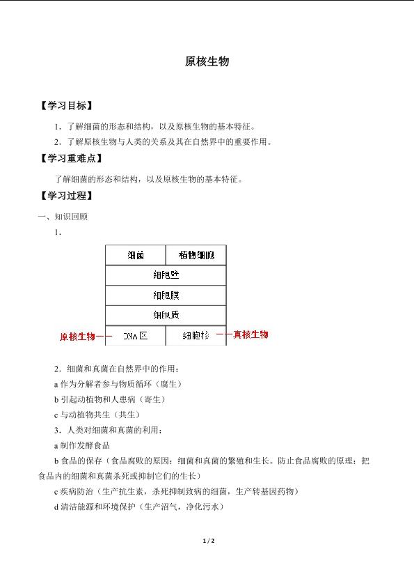 原核生物_学案1