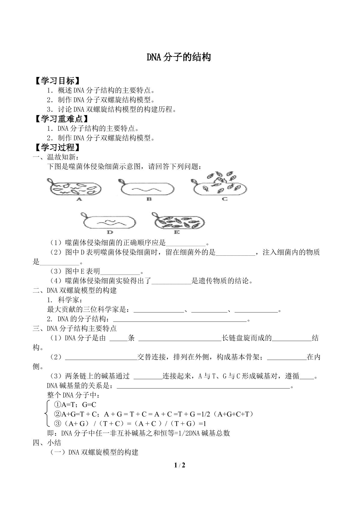 DNA分子的结构_学案2