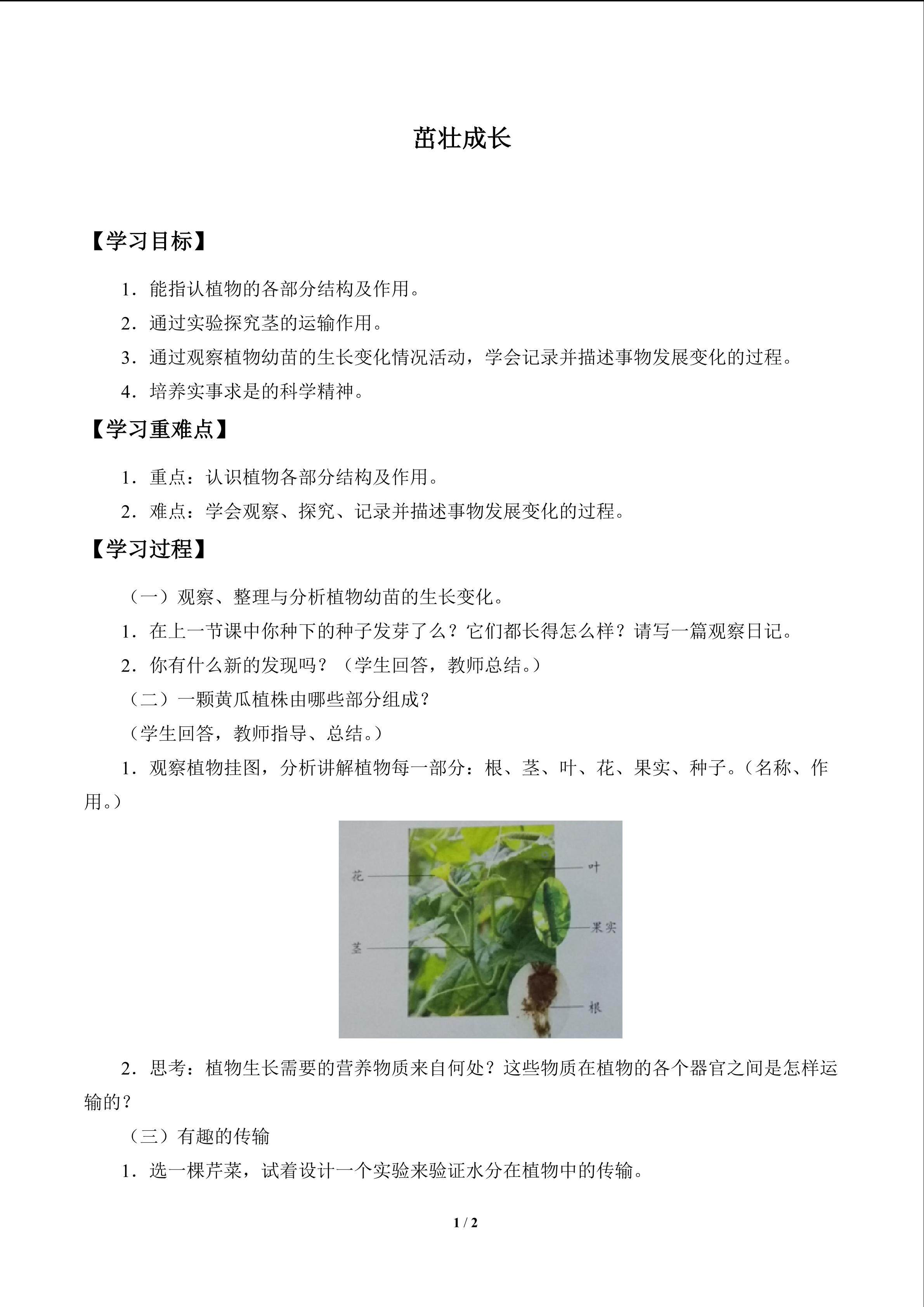 茁壮成长_学案1
