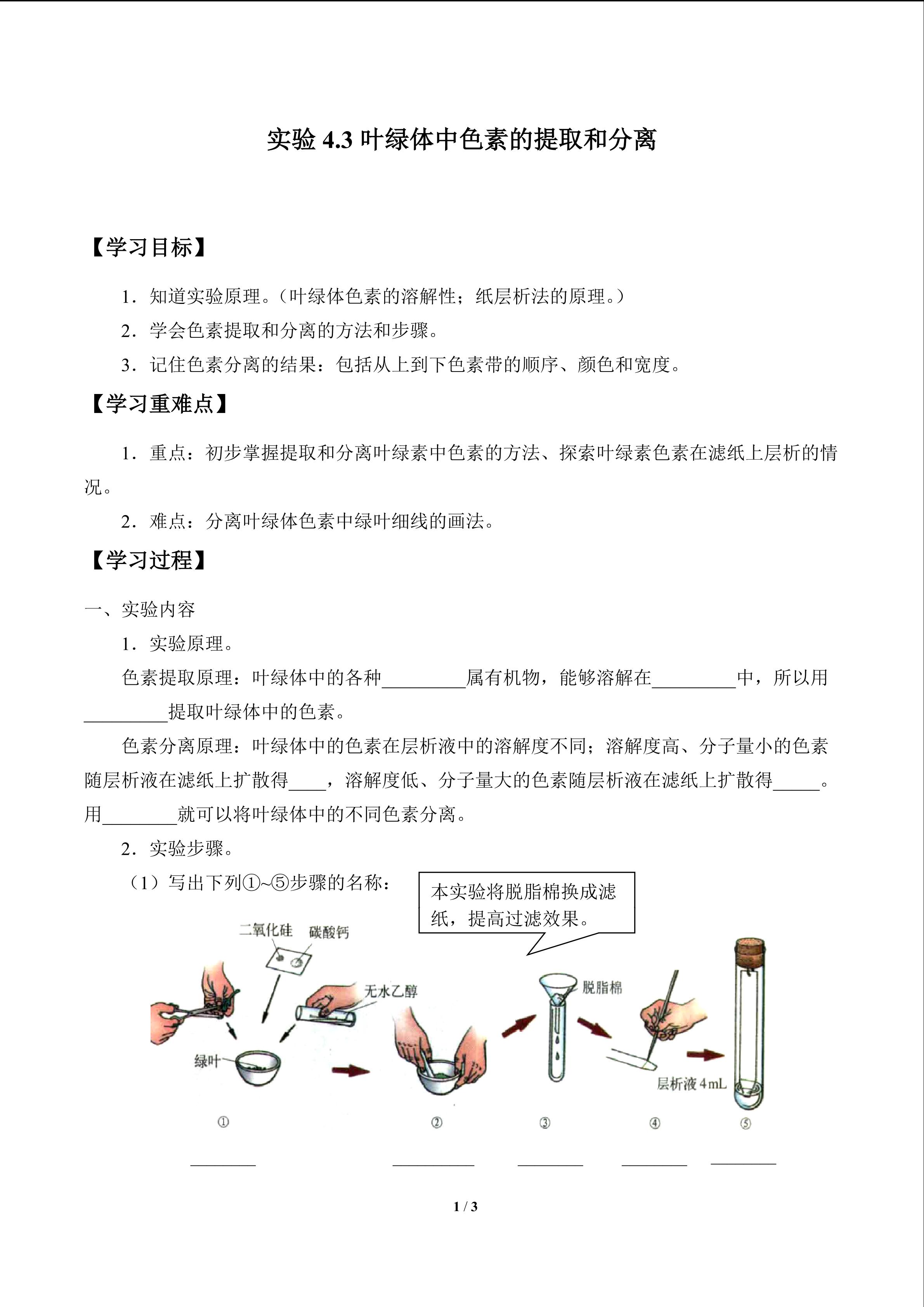 实验4.3 叶绿体中色素的提取和分离_学案1