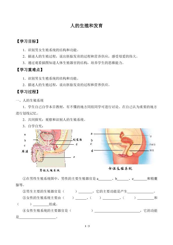 人的生殖和发育_学案2