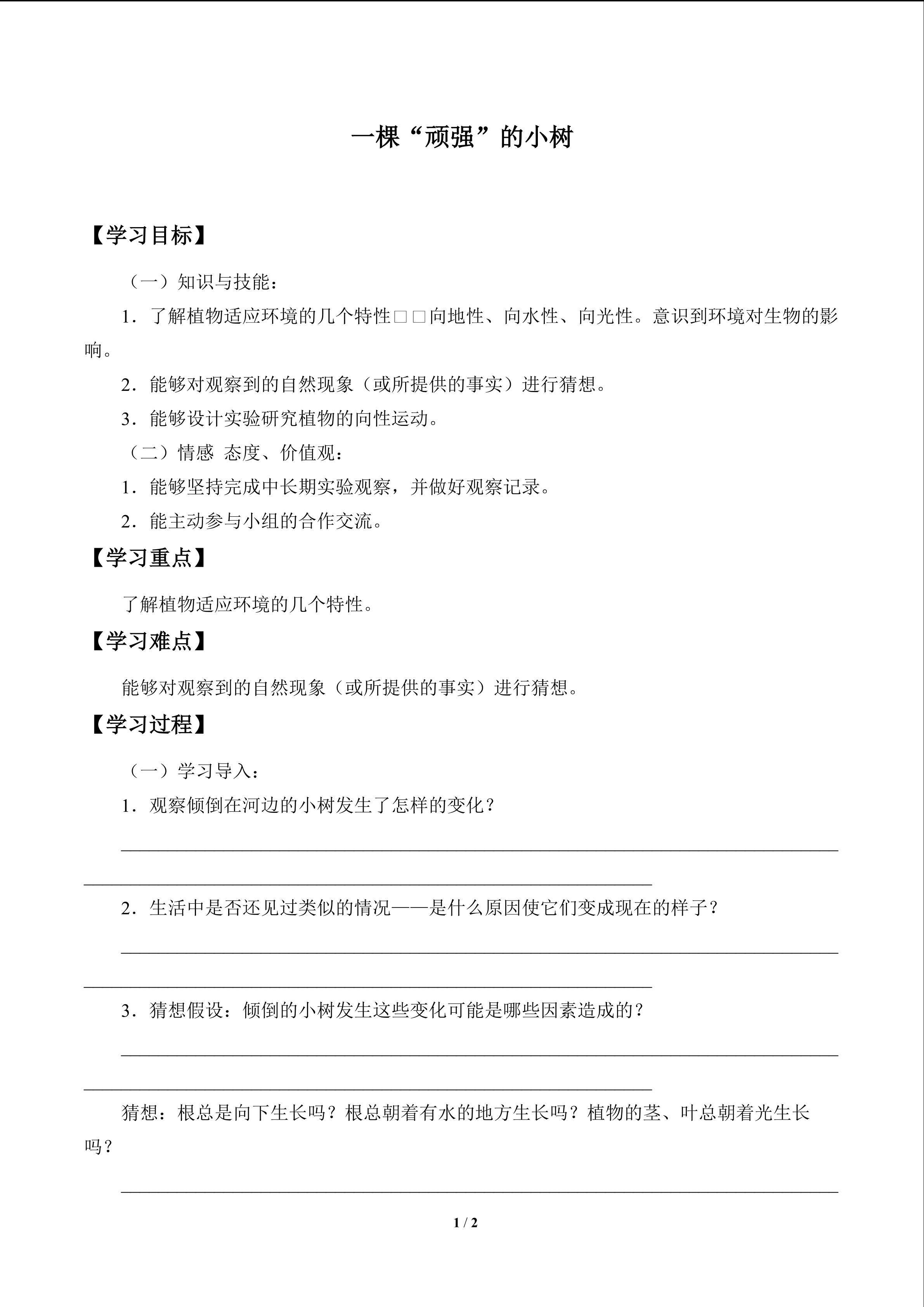 一棵“顽强”的小树_学案1