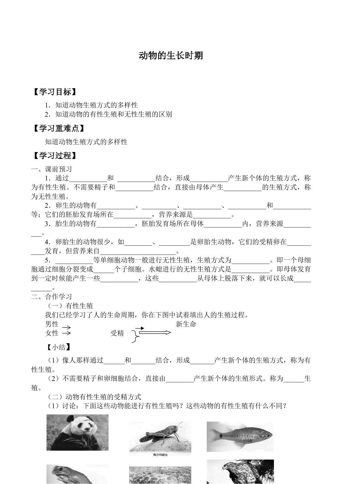 动物的生长时期_学案2