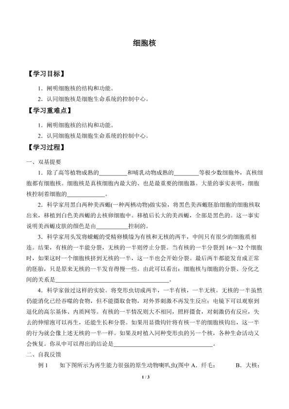细胞核_学案1