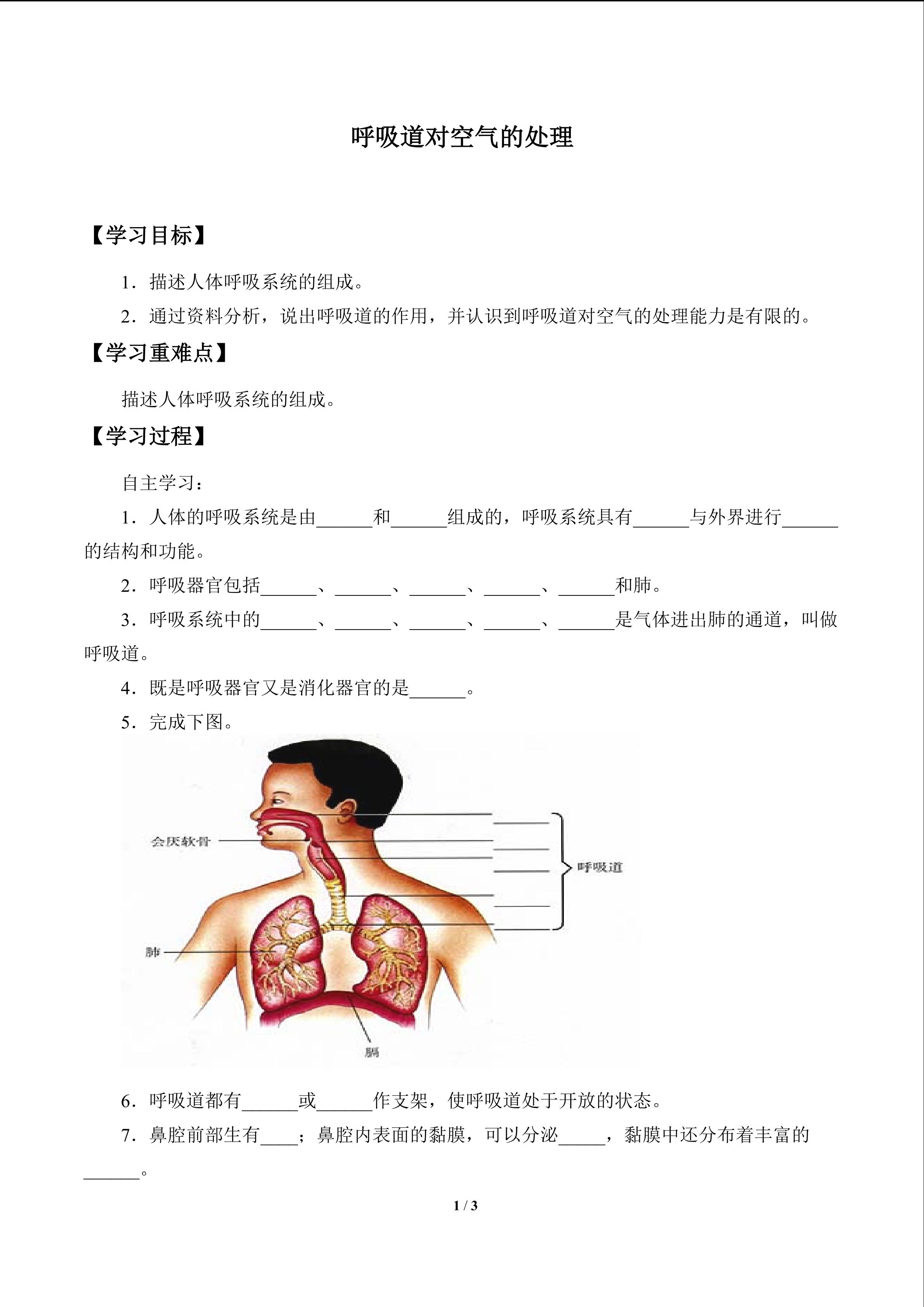 呼吸道对空气的处理_学案1