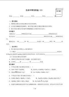 生活中常见的盐(2)(含答案)精品资源_学案1