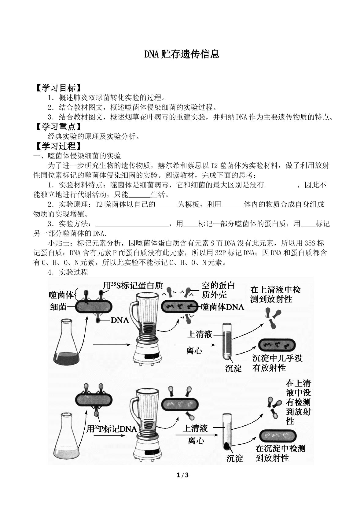 DNA贮存遗传信息_学案2