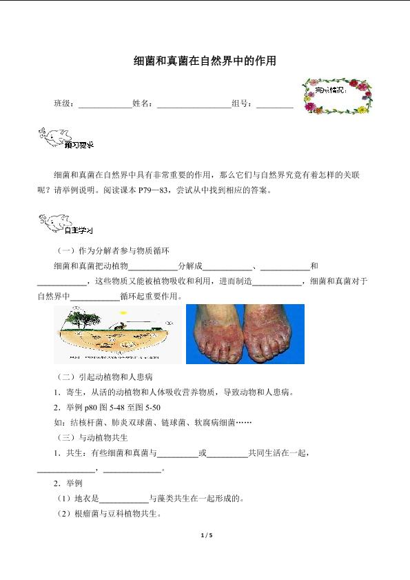 细菌和真菌在自然界中的作用（含答案） 精品资源_学案1