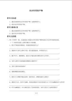 光合作用的产物_学案1
