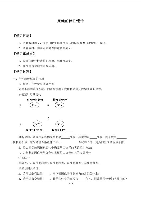 果蝇的伴性遗传_学案2