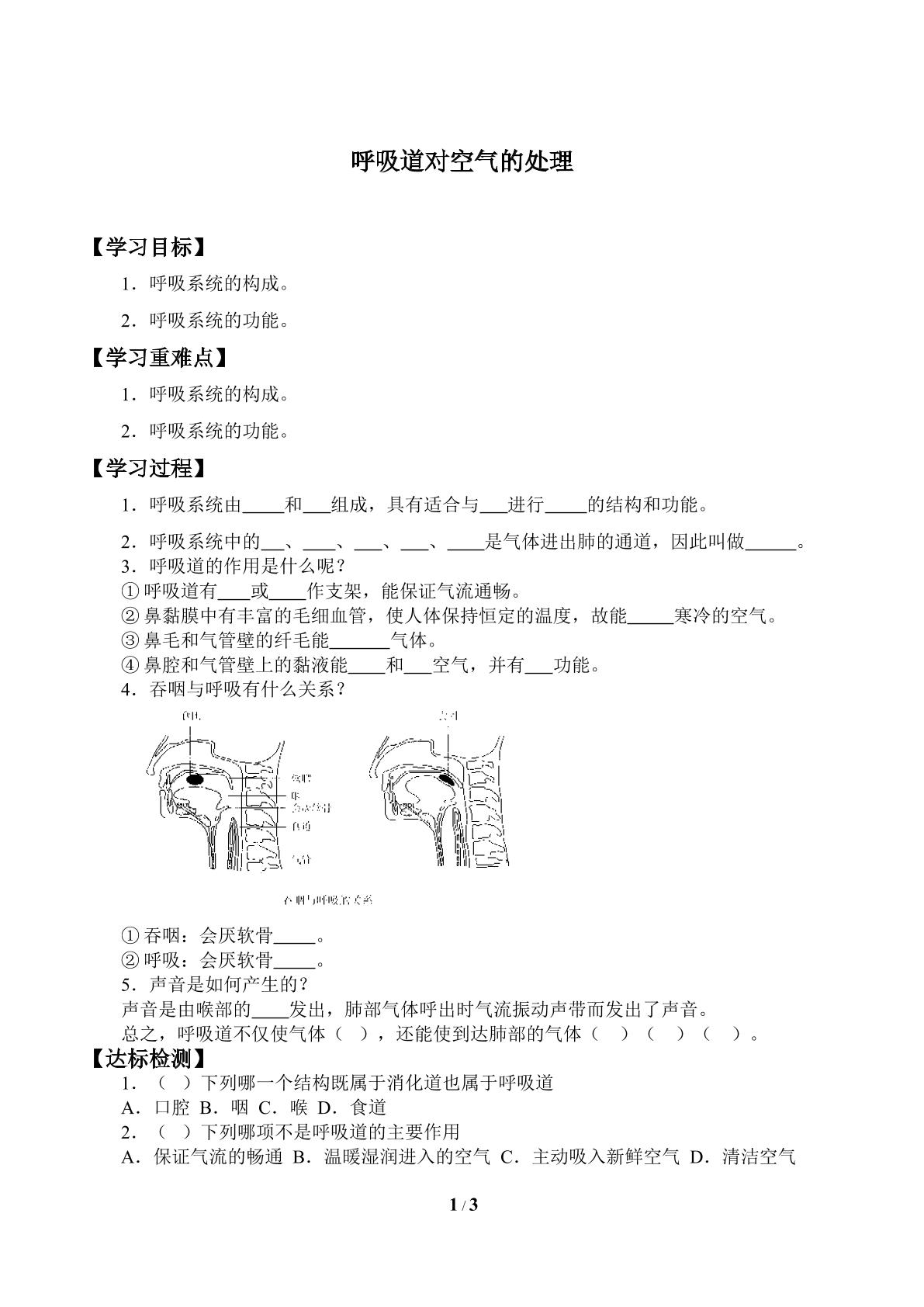 呼吸道对空气的处理_学案1