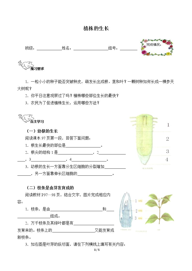 植株的生长（含答案） 精品资源_学案1