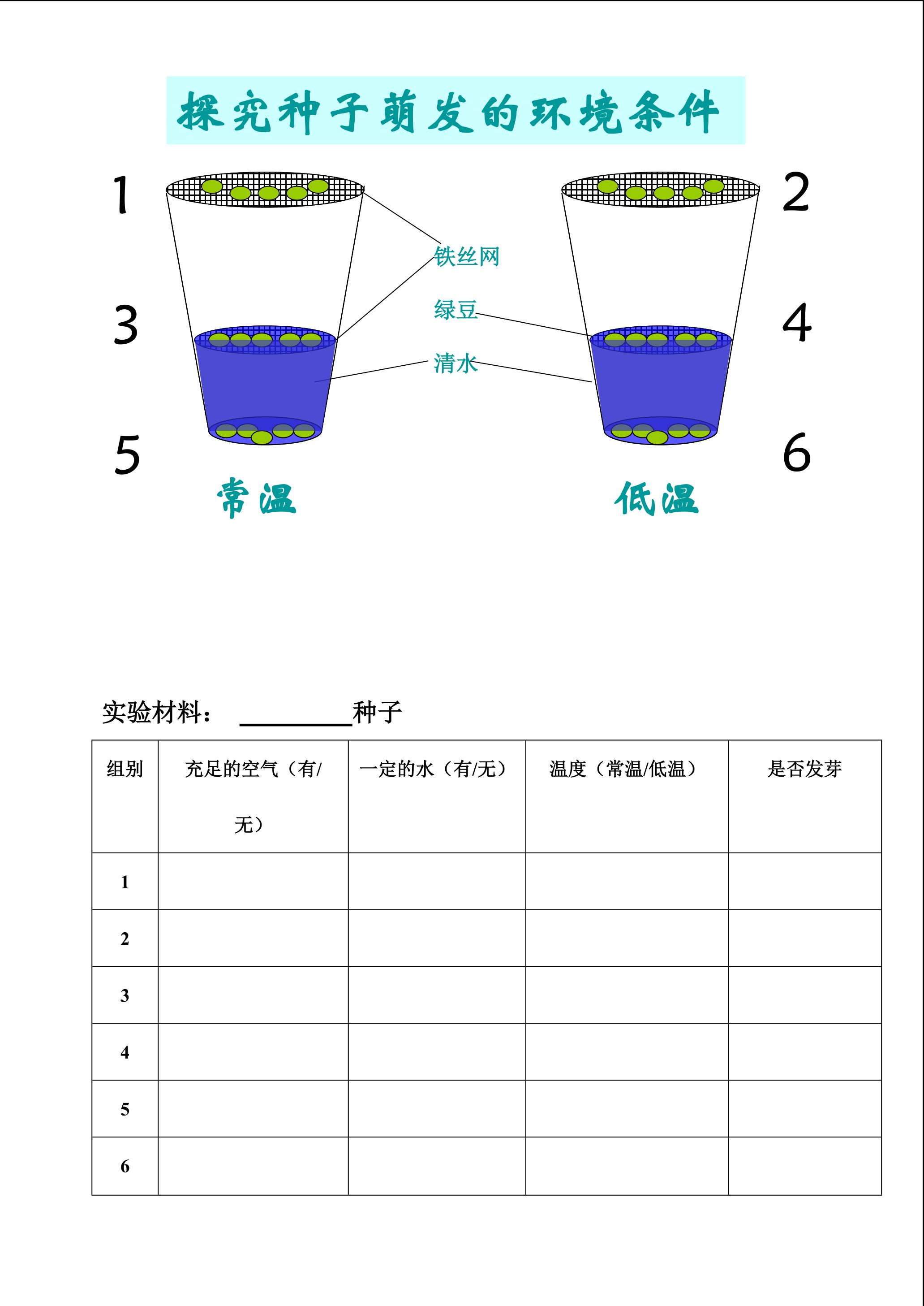 季虹《种子的萌发》学案