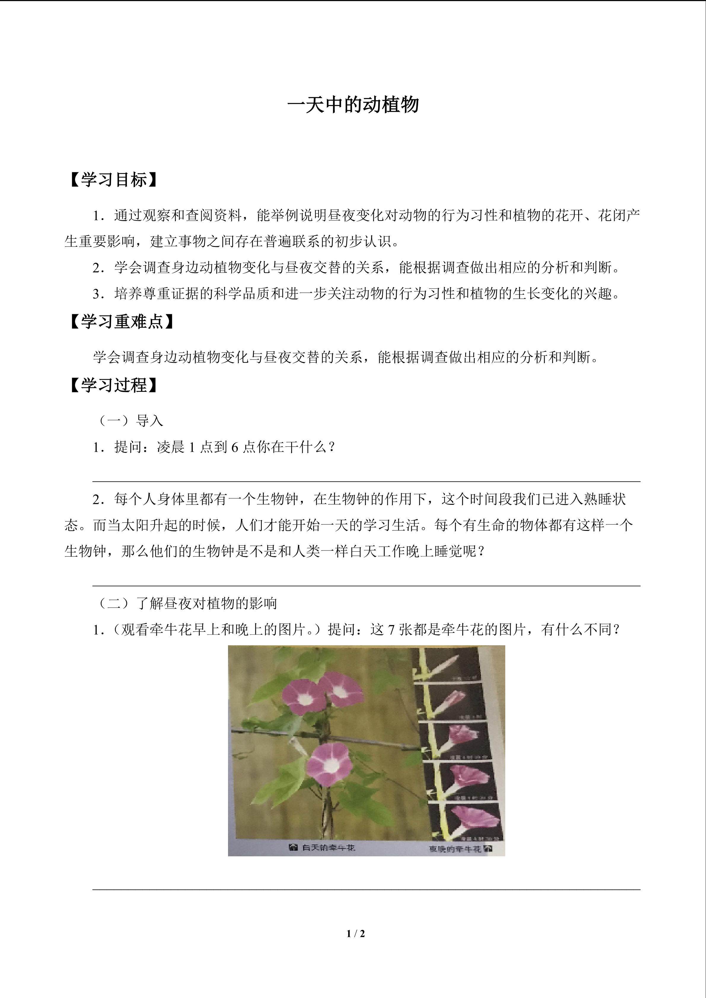 一天中的动植物_学案1