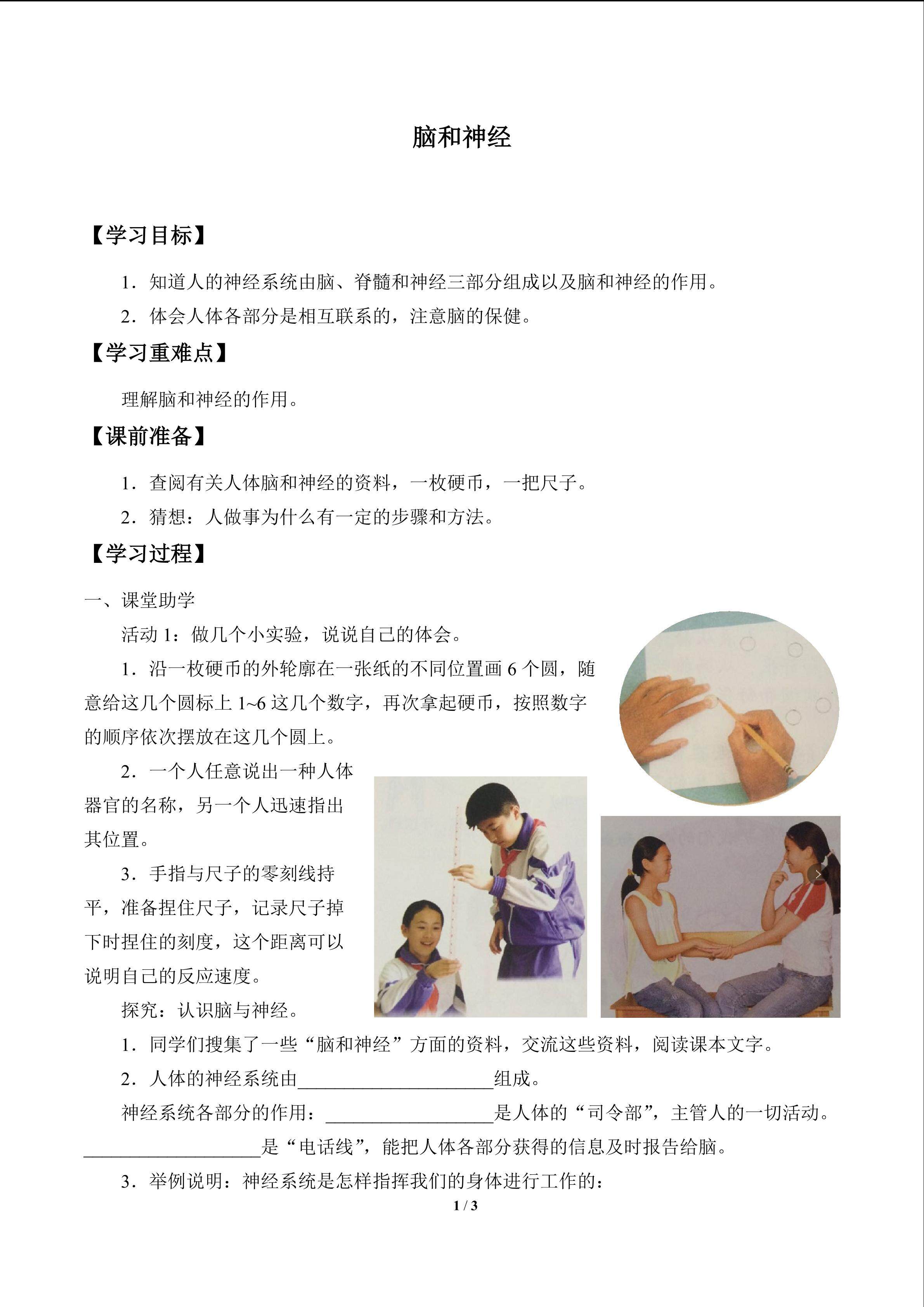 脑与神经_学案1